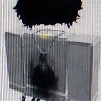 Profile image of Jacob