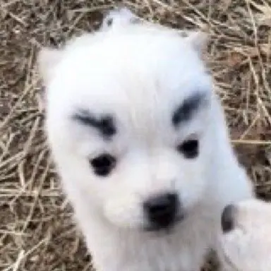 Profile image of 서해린