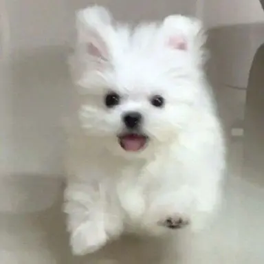 Profile image of 이하름