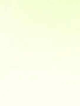WickedMine8218의 冷たい先輩