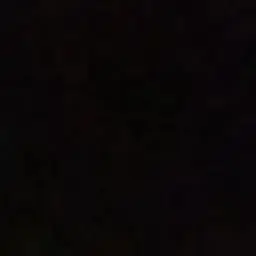 Profile image of 1x