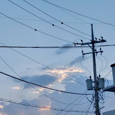 Profile image of 김찬혁