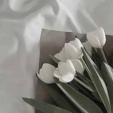 Profile image of 민정우