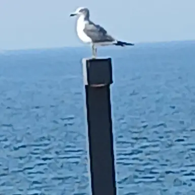 Profile image of 나경