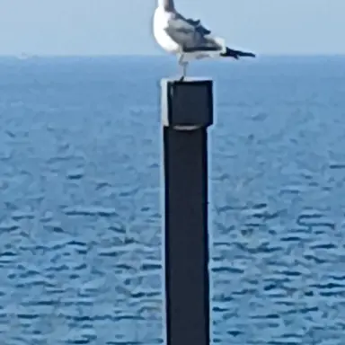 Profile image of 지헌