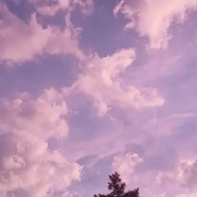 Profile image of 아름