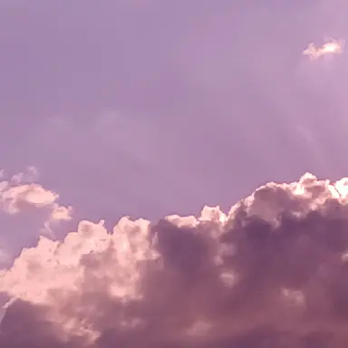 Profile image of 평학