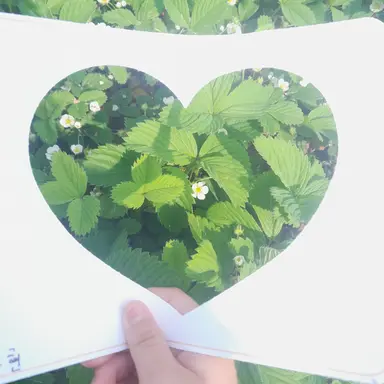 Profile image of 여우