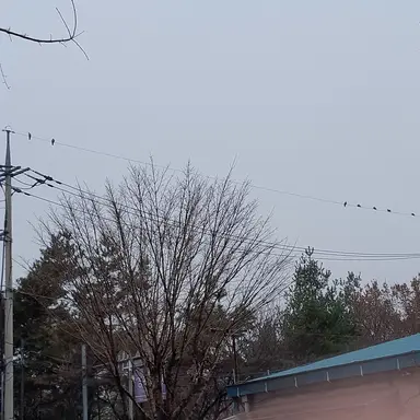 Profile image of 라더