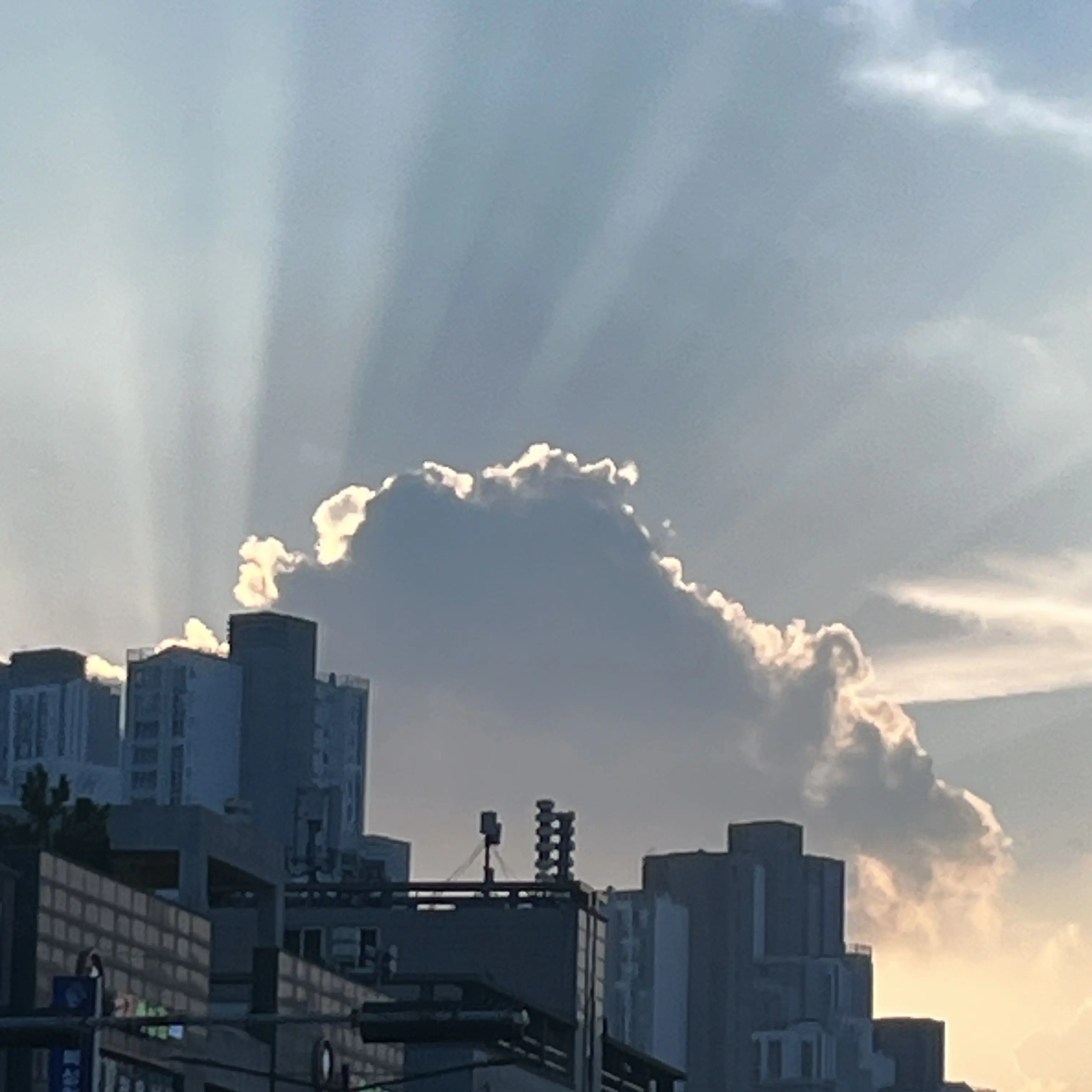 BentStage0582의 친오빠 김도훈