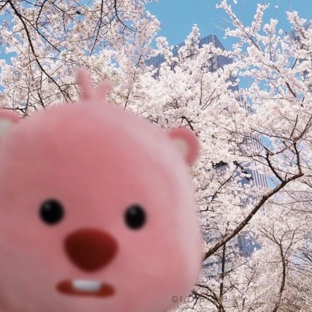 칭구들