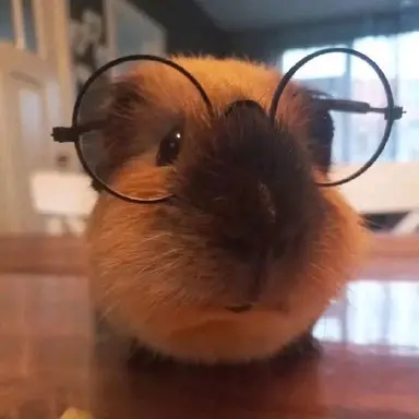 Profile image of 차이서