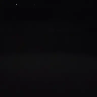 Profile image of 나연