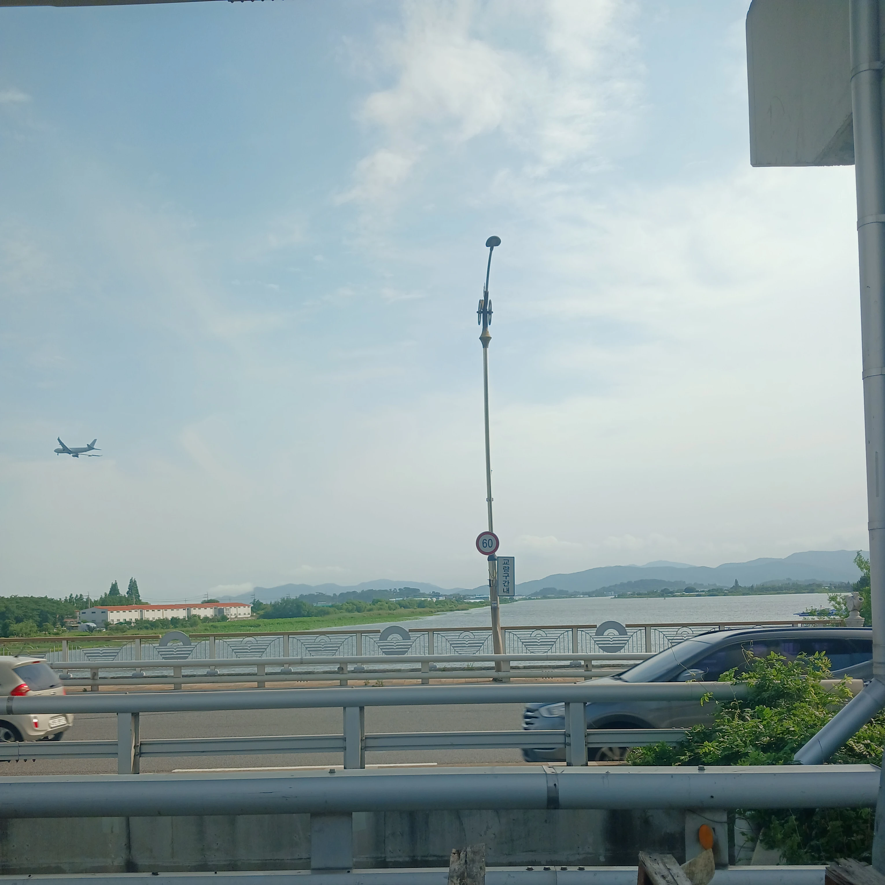 사네미