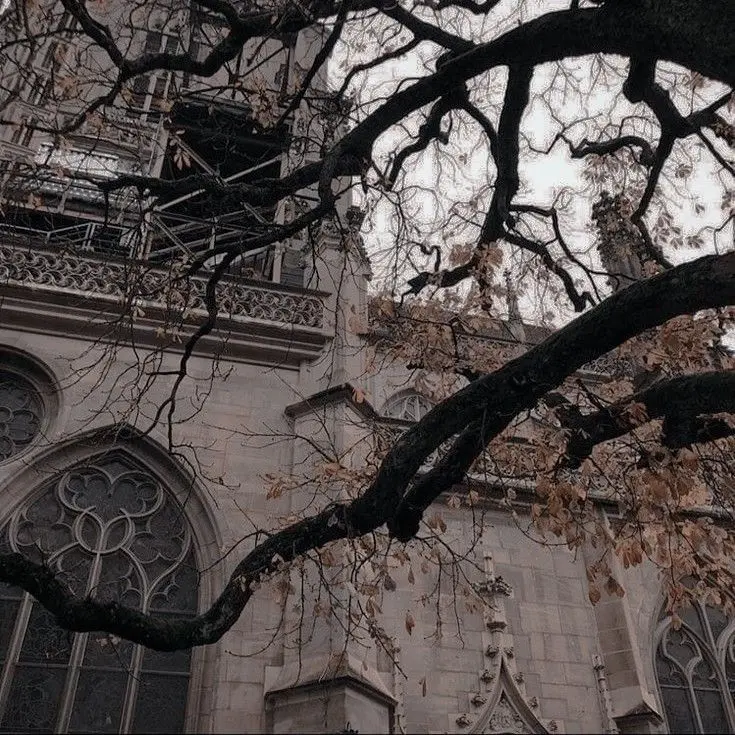 CherryRadar3824의 Church au remus lupin