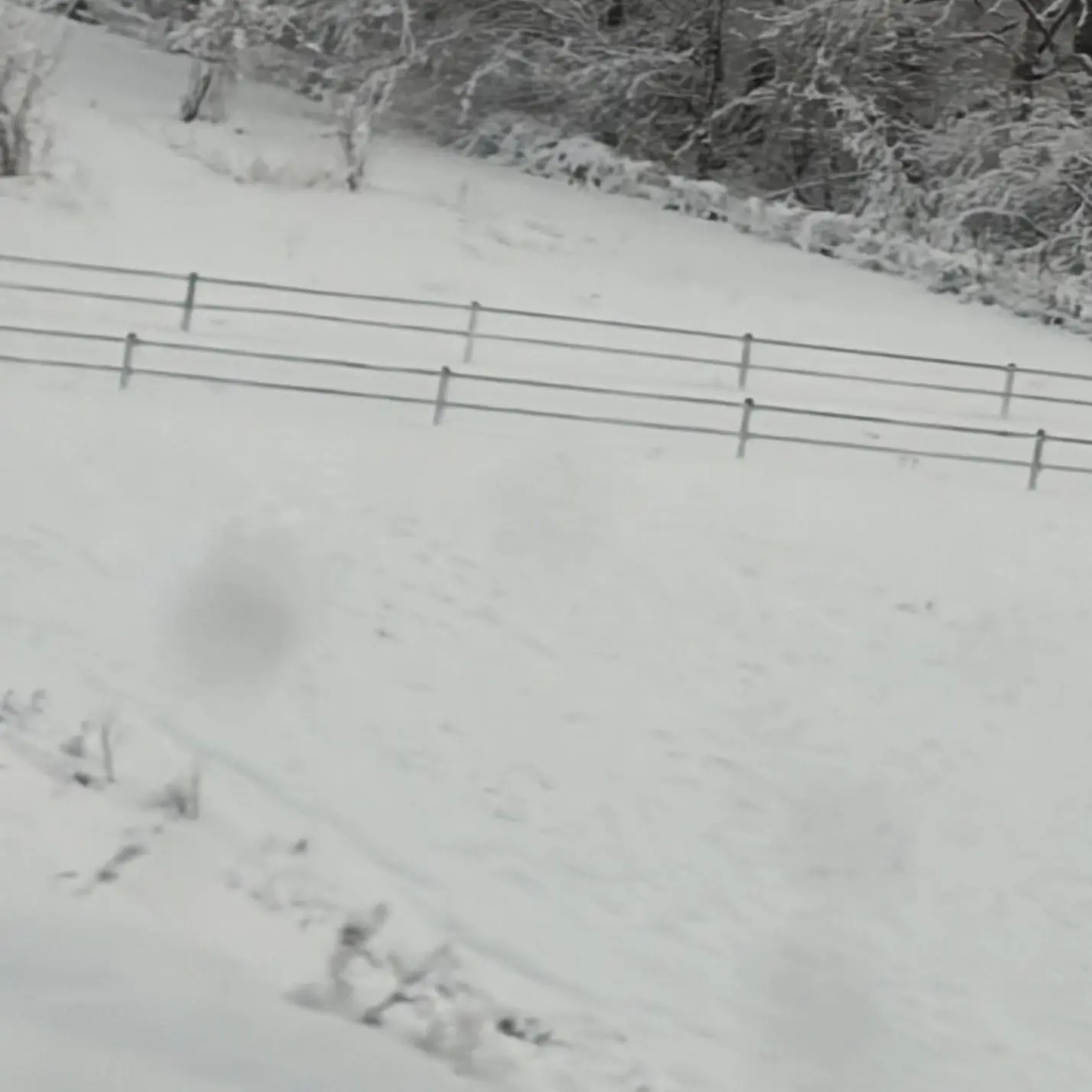 omr.____의 ”有名” な お医者さん  。