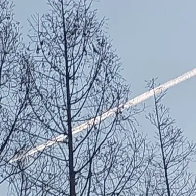 Profile image of 선생님