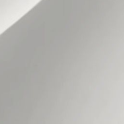 자유 대표 이미지
