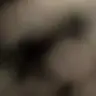 Profile image of ソワン