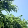 Profile image of 수학쌤