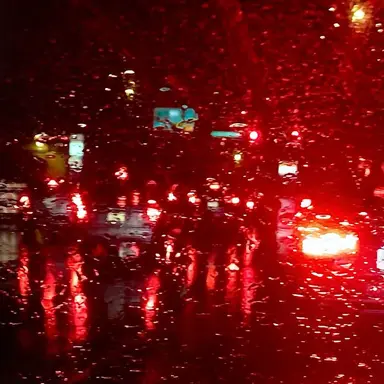 Profile image of 홍희련