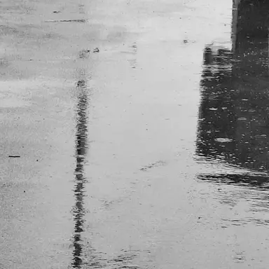 Profile image of 박여름