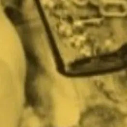 Profile image of 髙地優吾