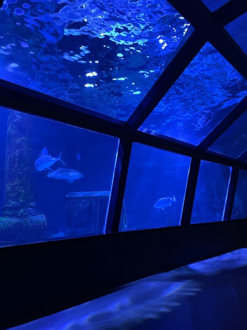 Just keep swimming 대표 이미지