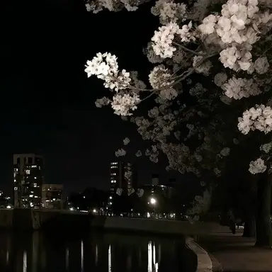 Profile image of ソクジン