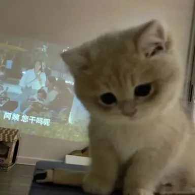 Profile image of 김규빈