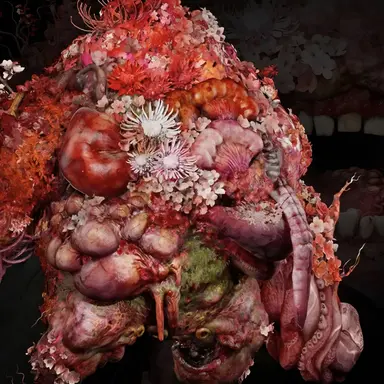 Profile image of 아라-아바레