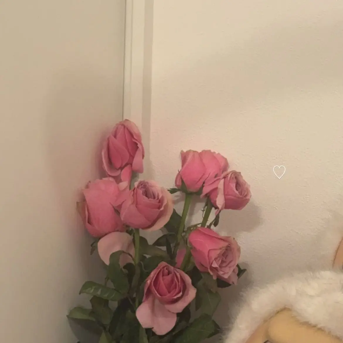 CaringEdit1118의 橋本環奈ちゃんの妹