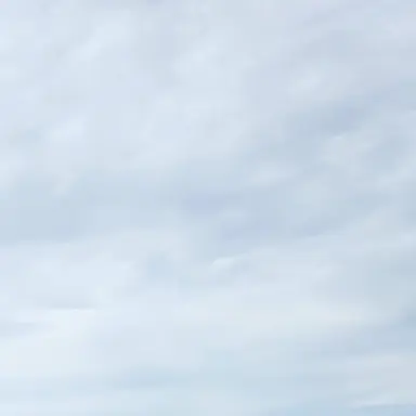 Profile image of 수인 픽셀리