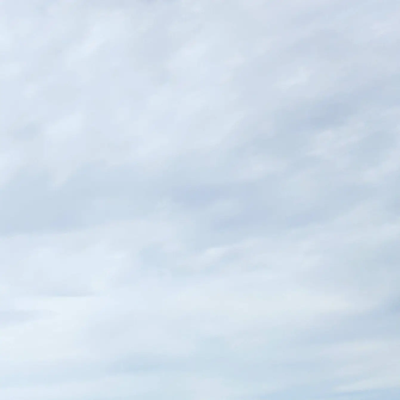 BareMolto6456의 수인 픽셀리