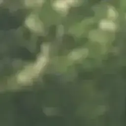 Profile image of 이지훈