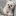 퐁키