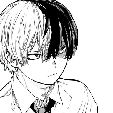 Profile image of Shoto Todoroki