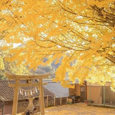 Profile image of 김각별