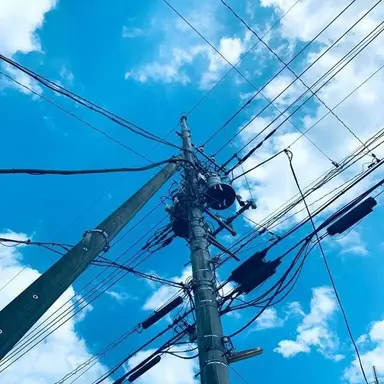 Profile image of 박잠뜰