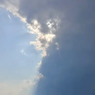 Profile image of 최연준