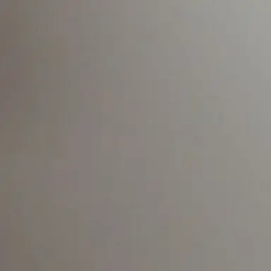 Profile image of 헬리