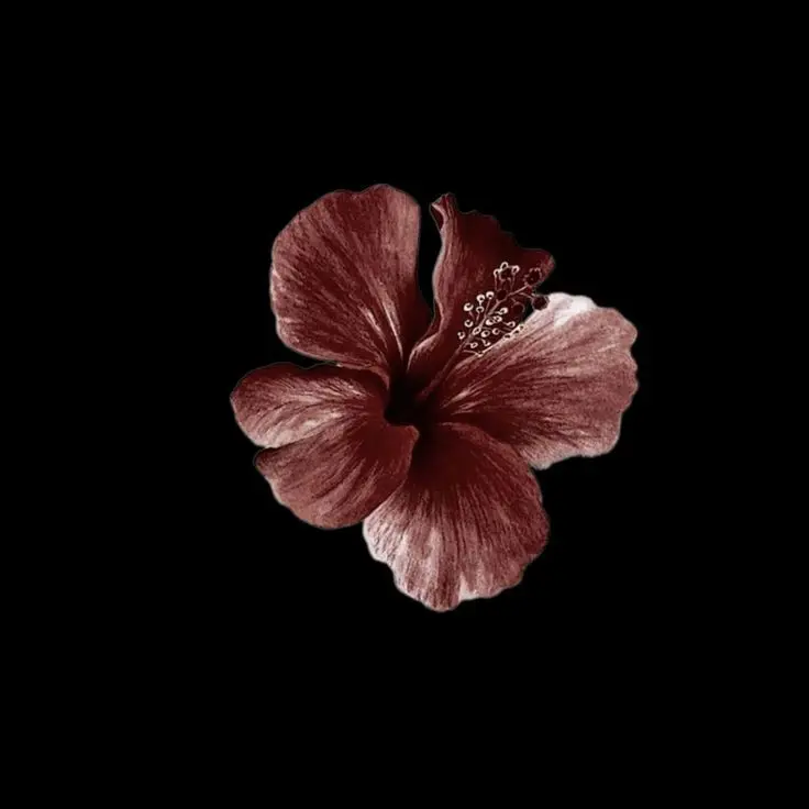 RQD1081의 이우진