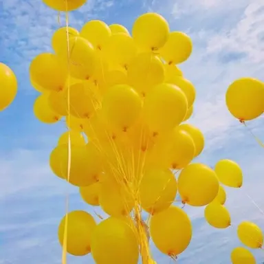 Profile image of 김일영