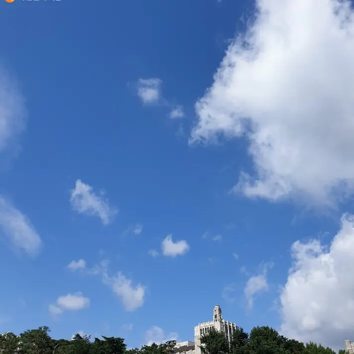 LovelyBilby0338의 저주의 저택