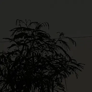 Profile image of 관