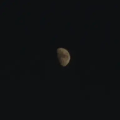 Profile image of 몽