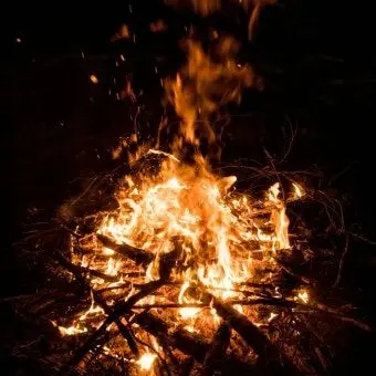 Profile image of 봉황