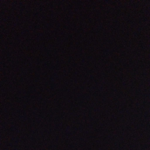 アメリカ