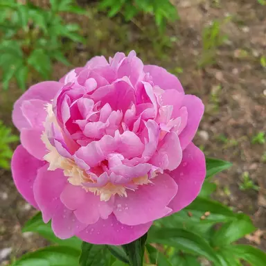 Profile image of 리레볼루션