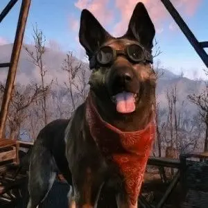 Profile image of Dogmeat
